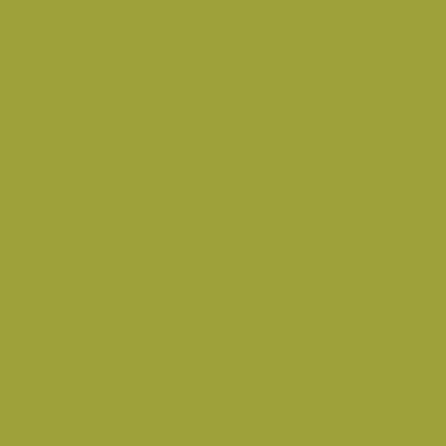 AGF Parrot